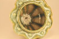 Anemone cup: close up detail